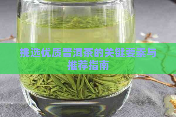 挑选优质普洱茶的关键要素与推荐指南