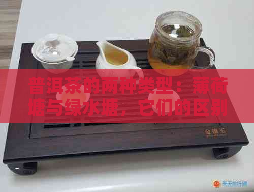 普洱茶的两种类型：薄荷塘与绿水塘，它们的区别在哪里？