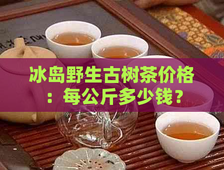 冰岛野生古树茶价格：每公斤多少钱？