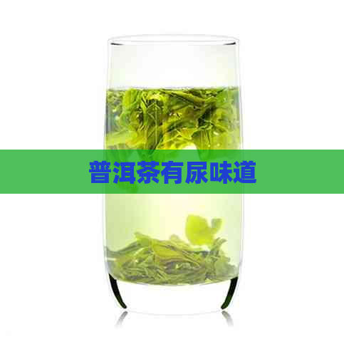 普洱茶有尿味道