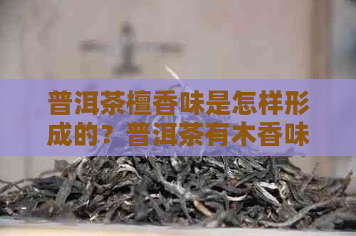 普洱茶檀香味是怎样形成的？普洱茶有木香味吗？普洱茶的香是怎么产生的？