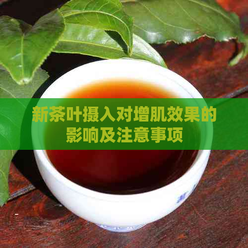 新茶叶摄入对增肌效果的影响及注意事项