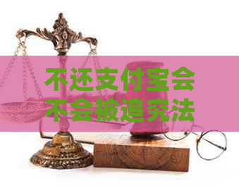 不还支付宝会不会被追究法律责任