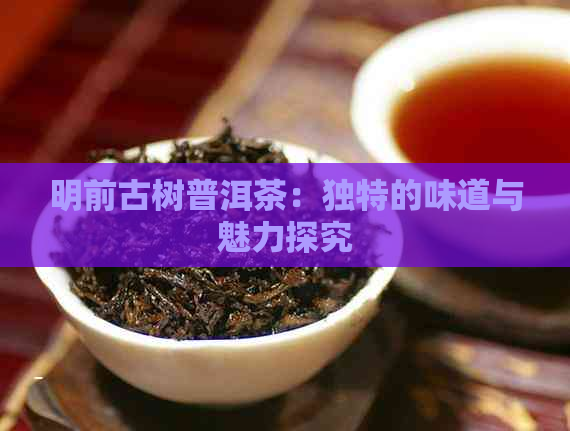 明前古树普洱茶：独特的味道与魅力探究