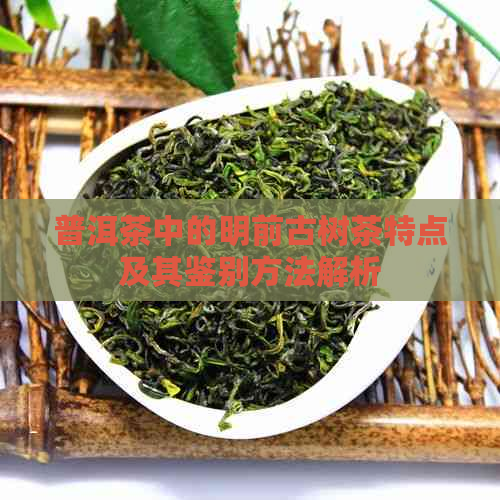 普洱茶中的明前古树茶特点及其鉴别方法解析