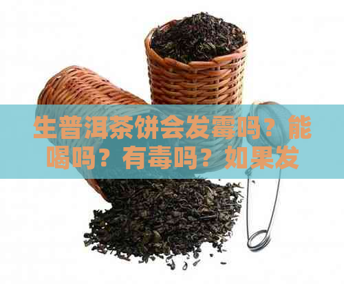 生普洱茶饼会发霉吗？能喝吗？有吗？如果发霉了应该怎么办？