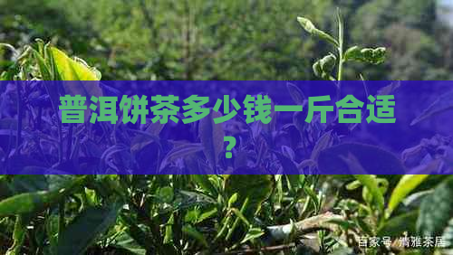 普洱饼茶多少钱一斤合适？