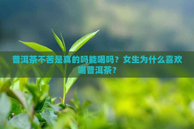 普洱茶不苦是真的吗能喝吗？女生为什么喜欢喝普洱茶？