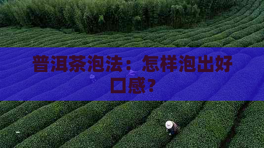 普洱茶泡法：怎样泡出好口感？