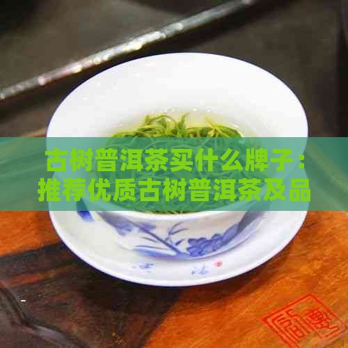 古树普洱茶买什么牌子：推荐优质古树普洱茶及品种，品质保证。