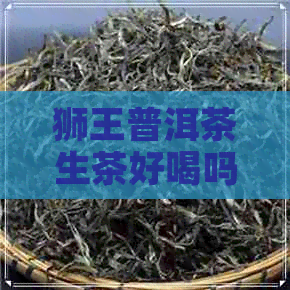 狮王普洱茶生茶好喝吗