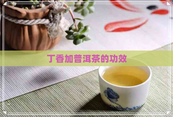 丁香加普洱茶的功效