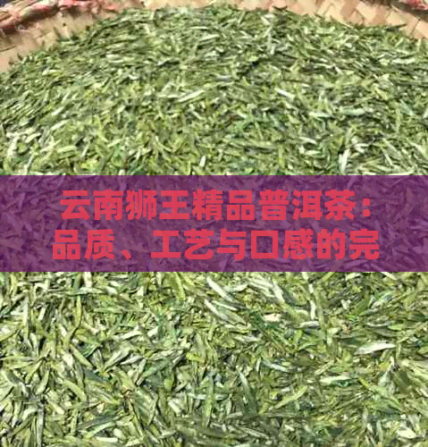 云南狮王精品普洱茶：品质、工艺与口感的完美结合，如何选择与品鉴？