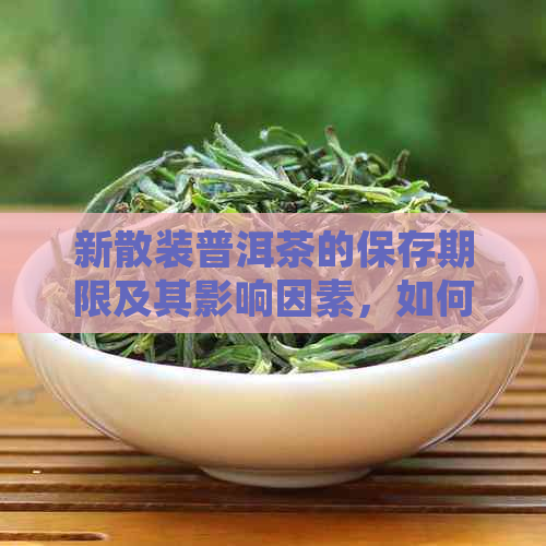 新散装普洱茶的保存期限及其影响因素，如何正确存放以长保质期？