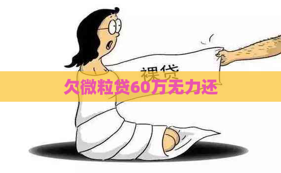 欠微立贷60万无力还