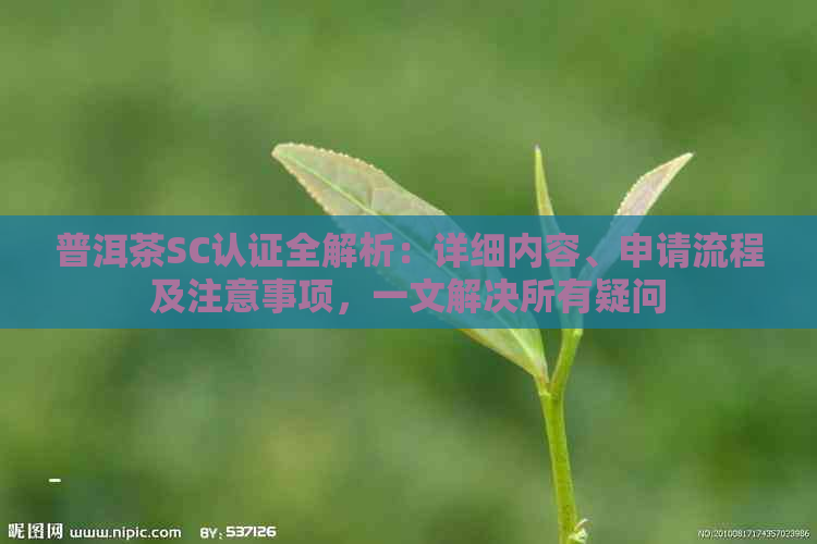 普洱茶SC认证全解析：详细内容、申请流程及注意事项，一文解决所有疑问