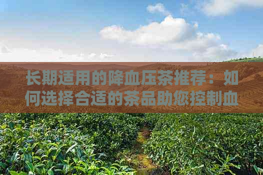 长期适用的降血压茶推荐：如何选择合适的茶品助您控制血压？