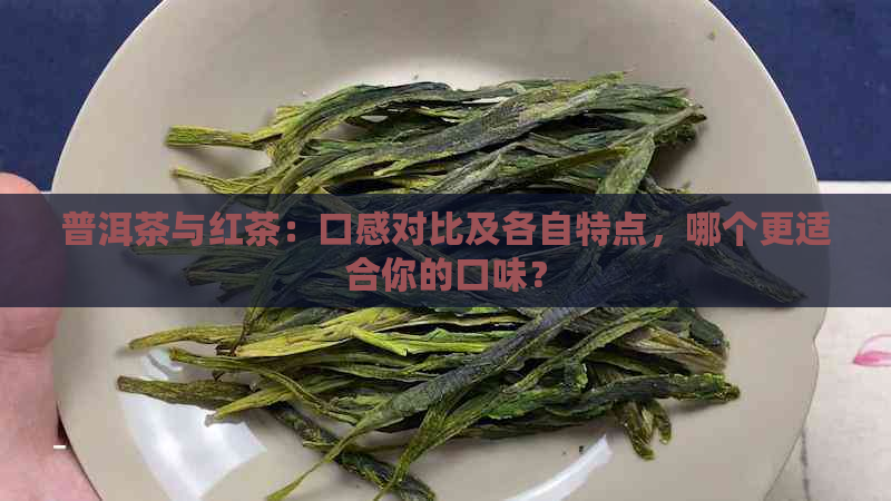 普洱茶与红茶：口感对比及各自特点，哪个更适合你的口味？