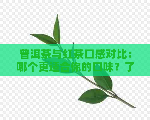 普洱茶与红茶口感对比：哪个更适合你的口味？了解两者特点，选择茶叶