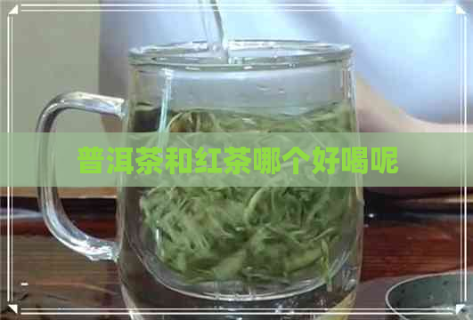 普洱茶和红茶哪个好喝呢