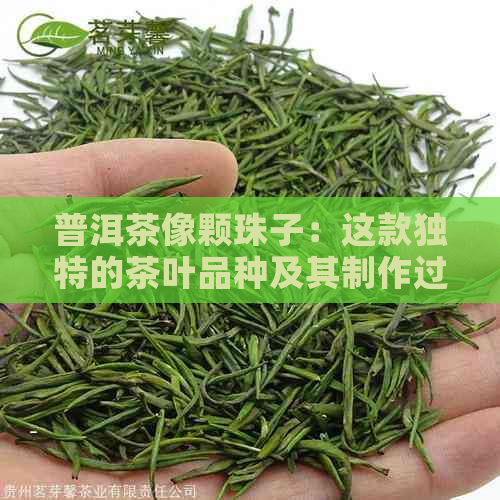 普洱茶像颗珠子：这款独特的茶叶品种及其制作过程详解