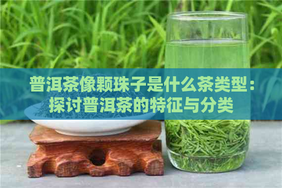 普洱茶像颗珠子是什么茶类型：探讨普洱茶的特征与分类