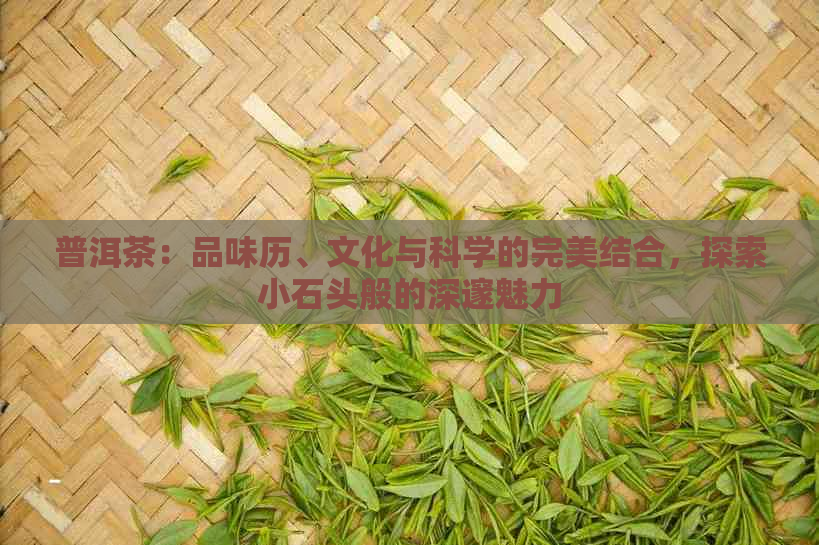 普洱茶：品味历、文化与科学的完美结合，探索小石头般的深邃魅力