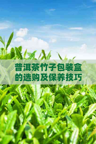 普洱茶竹子包装盒的选购及保养技巧