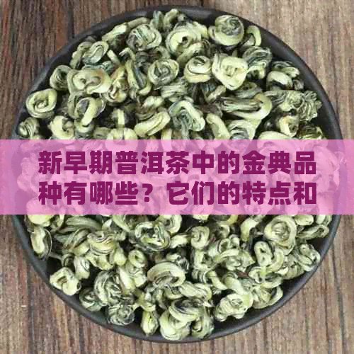 新早期普洱茶中的金典品种有哪些？它们的特点和品质如何？