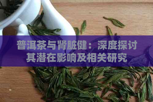 普洱茶与肾脏健：深度探讨其潜在影响及相关研究