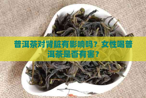 普洱茶对肾脏有影响吗？女性喝普洱茶是否有害？