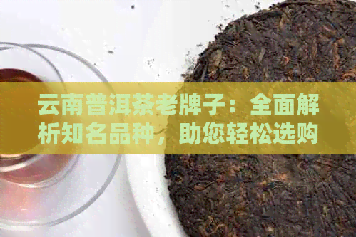 云南普洱茶老牌子：全面解析知名品种，助您轻松选购优质茶叶