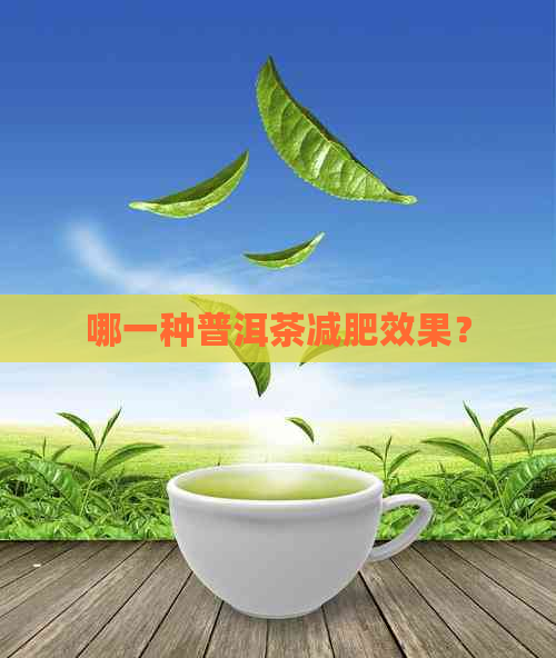 哪一种普洱茶减肥效果？