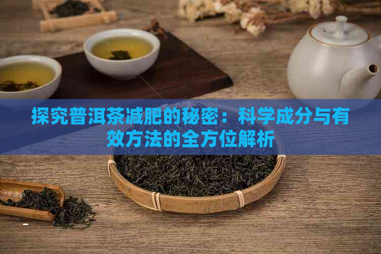 探究普洱茶减肥的秘密：科学成分与有效方法的全方位解析