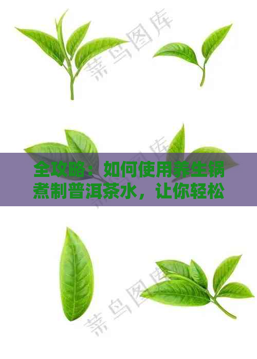 全攻略：如何使用养生锅煮制普洱茶水，让你轻松掌握正确方法与注意事项