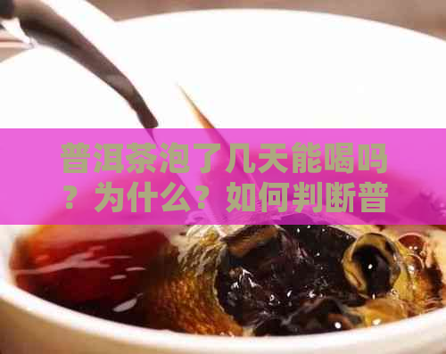 普洱茶泡了几天能喝吗？为什么？如何判断普洱茶是否过期？