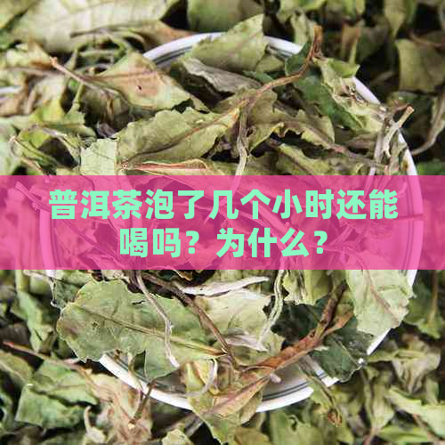 普洱茶泡了几个小时还能喝吗？为什么？