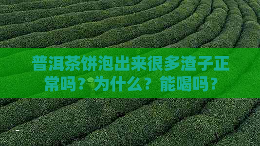 普洱茶饼泡出来很多渣子正常吗？为什么？能喝吗？