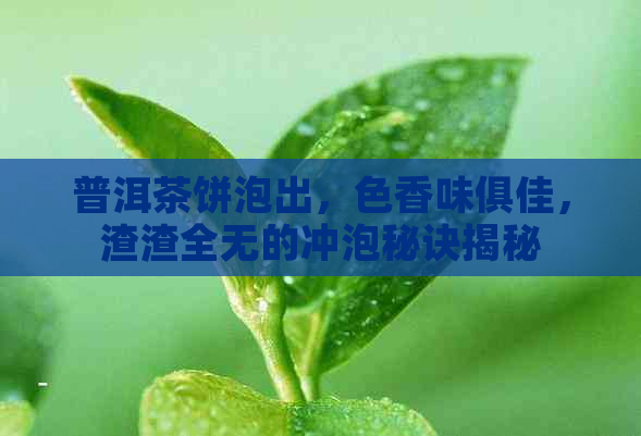 普洱茶饼泡出，色香味俱佳，渣渣全无的冲泡秘诀揭秘