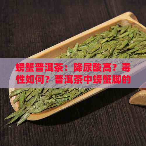 螃蟹普洱茶：降尿酸高？性如何？普洱茶中螃蟹脚的意义是什么？