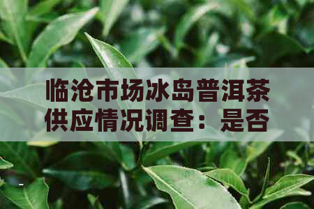 临沧市场冰岛普洱茶供应情况调查：是否有售？