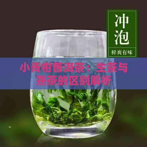 小青柑普洱茶：生茶与熟茶的区别解析