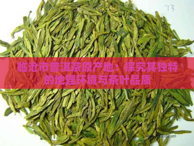 临沧市普洱茶原产地：探究其独特的地理环境与茶叶品质