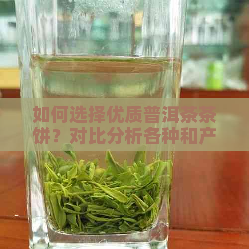 如何选择优质普洱茶茶饼？对比分析各种和产地的特色