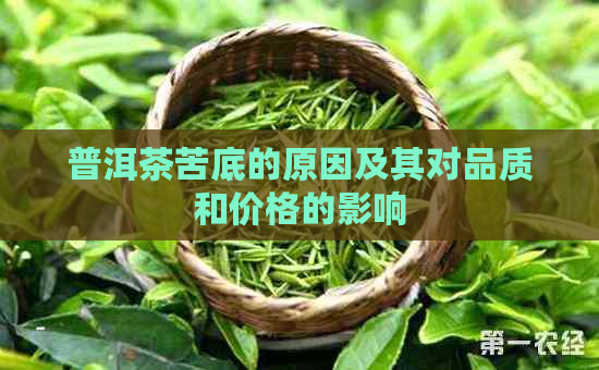 普洱茶苦底的原因及其对品质和价格的影响