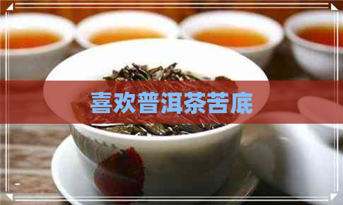 喜欢普洱茶苦底