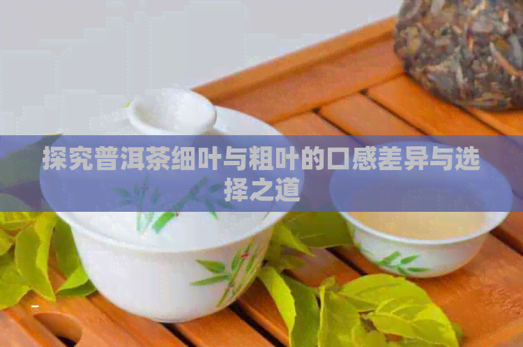 探究普洱茶细叶与粗叶的口感差异与选择之道