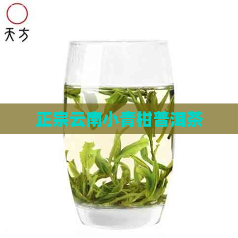 正宗云南小青柑普洱茶