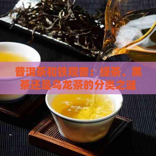 普洱茶和铁观音：绿茶、黑茶还是乌龙茶的分类之谜