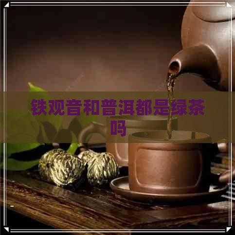 铁观音和普洱都是绿茶吗